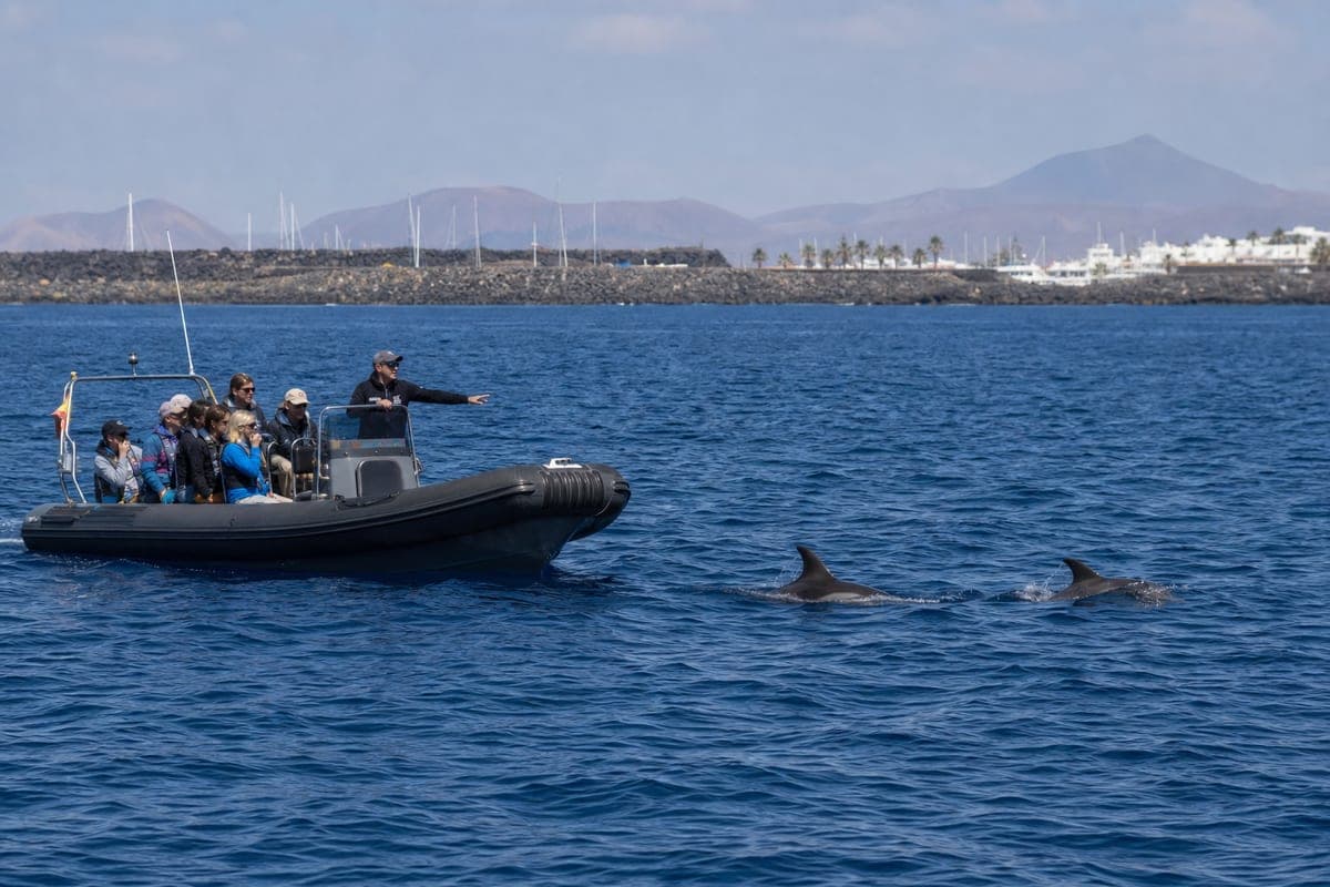 Small sea-safari boat observing dolphins off Lanzarote's volcanic coast
